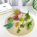 Artificial Succulent Plants Set - variety flat lay